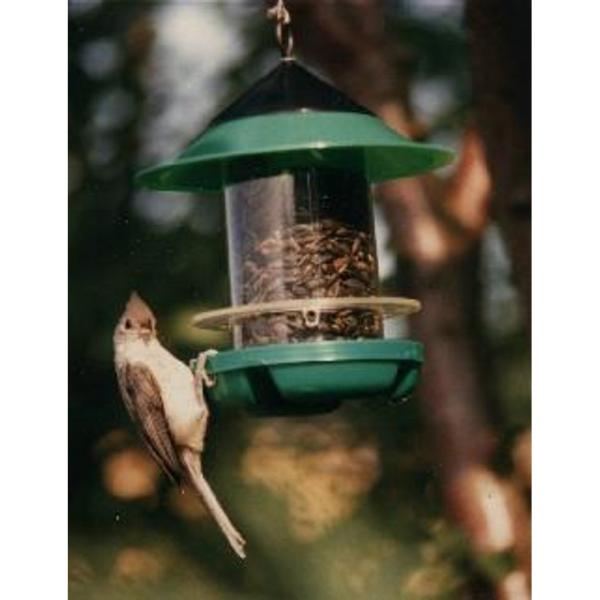 Chickadee Feeder