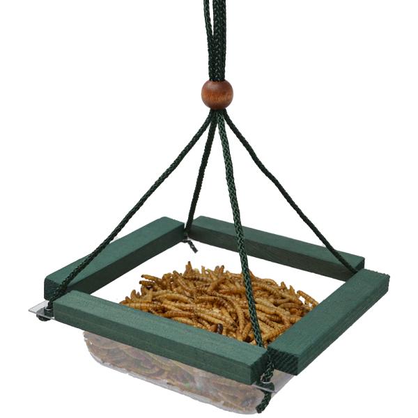Hanging Mealworm Dish Feeder