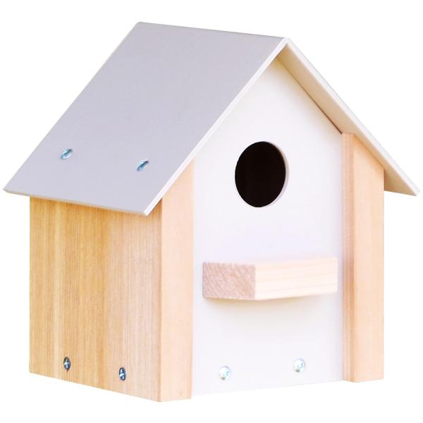 Window House display box