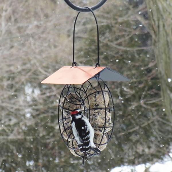 Suet & Seed Ball Feeder Copper Roof