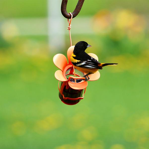 Jelly and Jam Feeder
