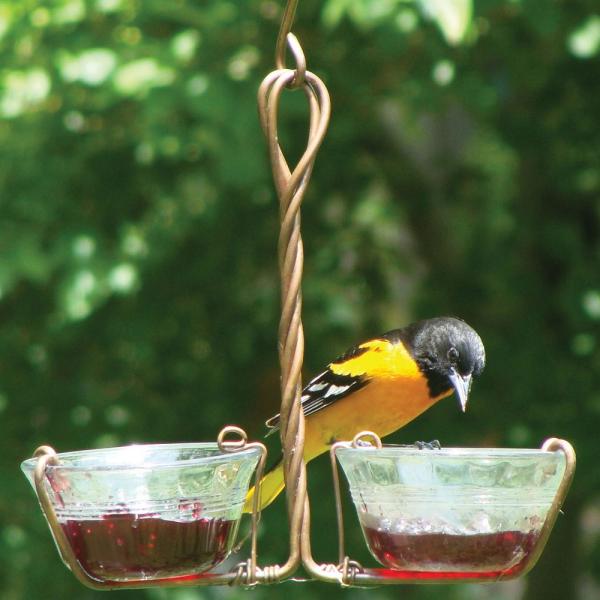 Two Cup Jelly Feeder