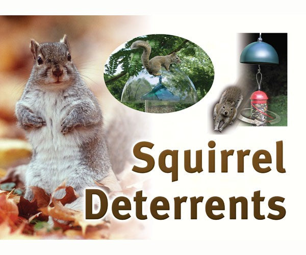 Squirrel Resistant Sign