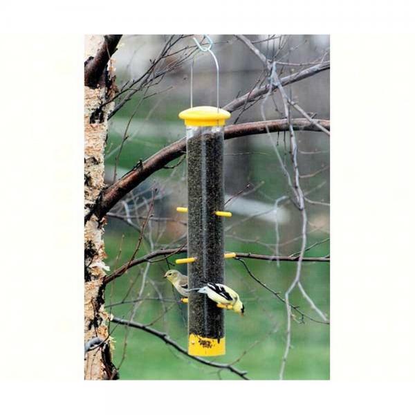 Tails Up Finch Feeder