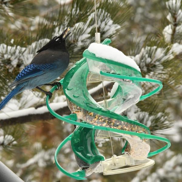 Cascade DNA 8-port Songbird Seed Feeder