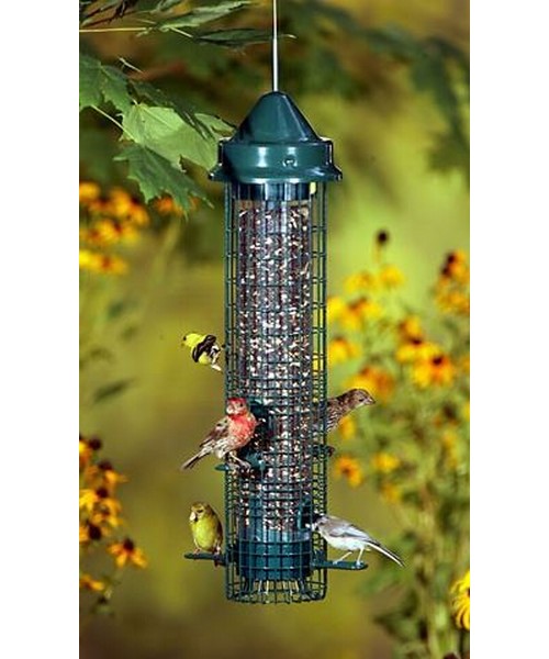Squirrel Buster Classic