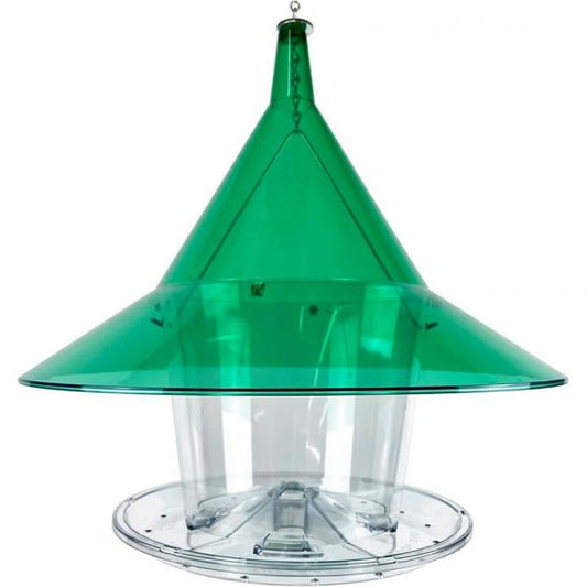 Mandarin Sky Cafe and Green Baffle