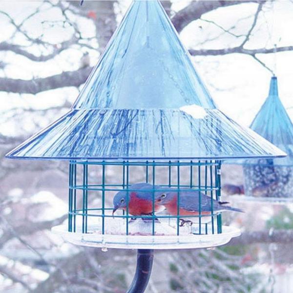 Sky Cafe Bluebird Feeder and Baffle
