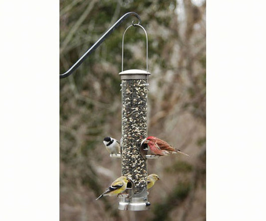 Seed Tube Medium Brushed Nickel Quick Clean Base