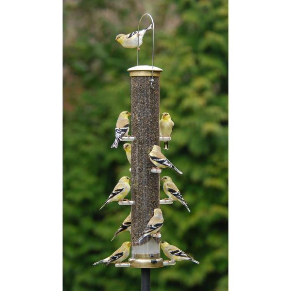 Thistle Tube Large Antique Brass