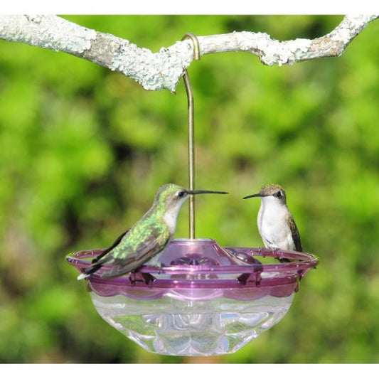 HummBlossom 4 oz Feeder Plum Color