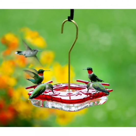 HummZinger Square  8 oz Feeder