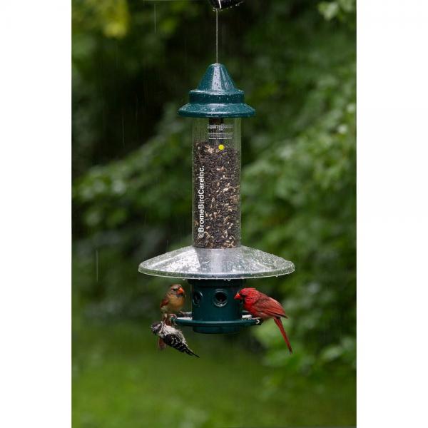 Squirrel Buster Plus  Weatherguard