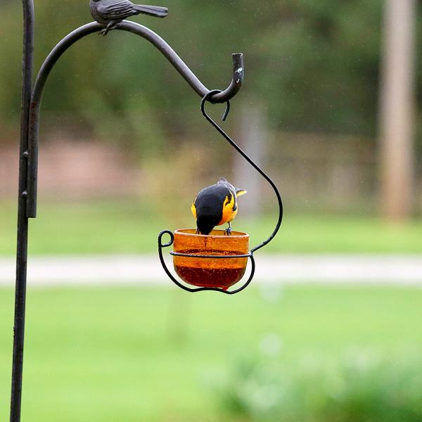 Orange Glass Hanging Treat and Mealworm Feeder