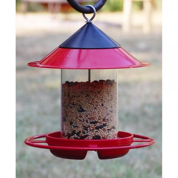 EZ Fill Bird feeder for Sunflower or Safflower