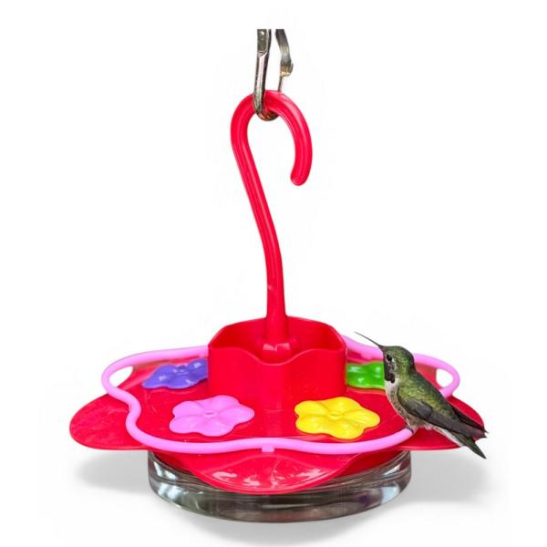 Glass Sipper Hummingbird Feeder 8oz