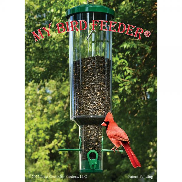 My Bird Feeder
