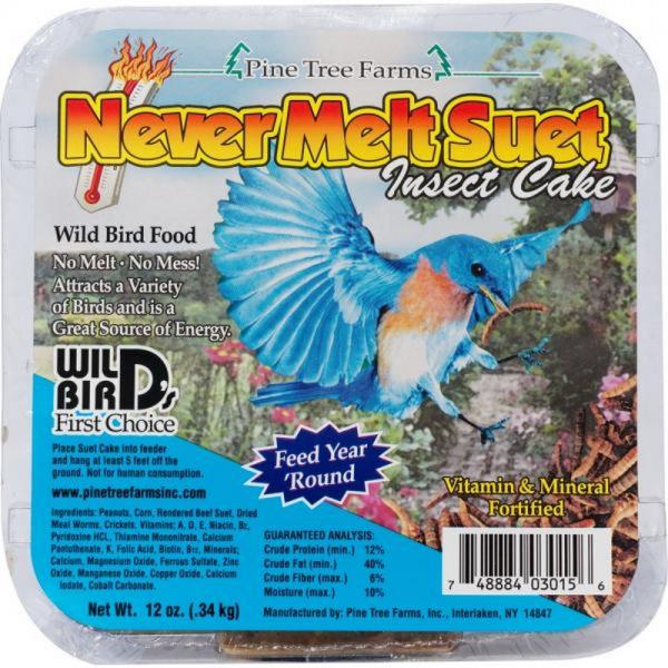 12 oz Never Melt Suet Insect Plus Freight