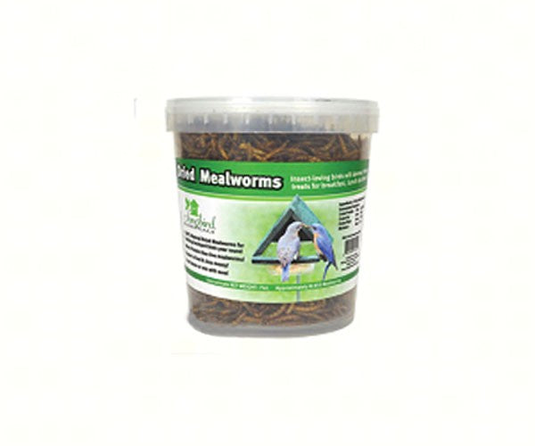 10 oz. Tub of Dried Mealworms