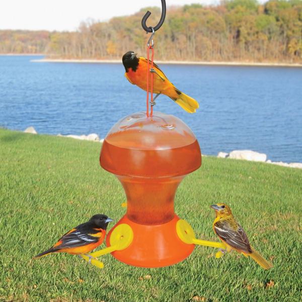 Fliteline Oriole 52oz Nectar Feeder