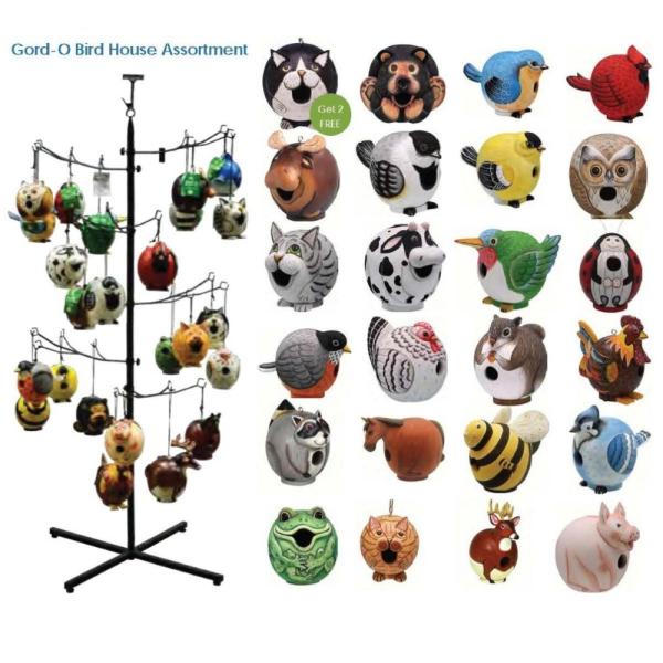 Gord-O 24 Piece Assortment with Display
