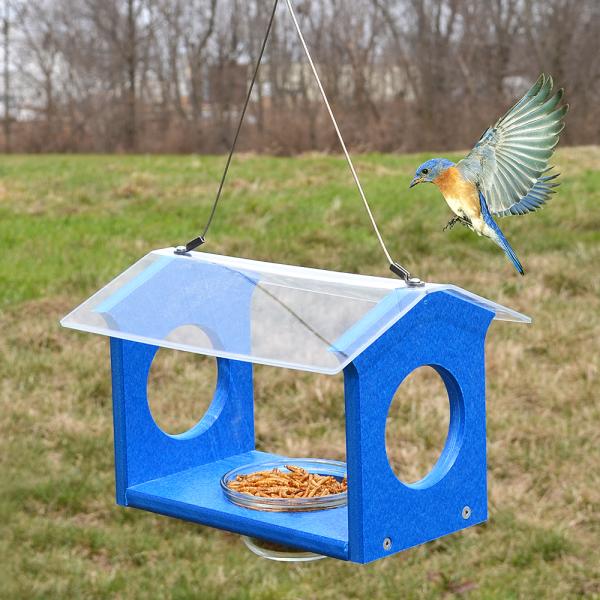 Recycled Bluebird Canteen Feeder