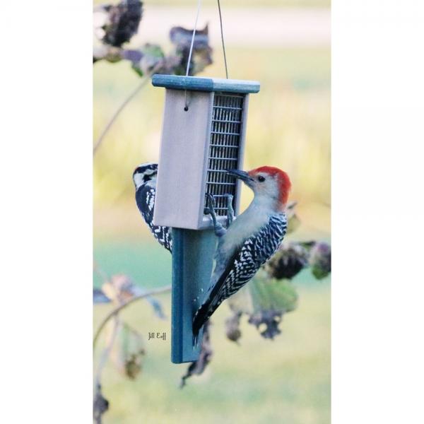 Suet Feeder with Tail Prop Hunter Driftwood