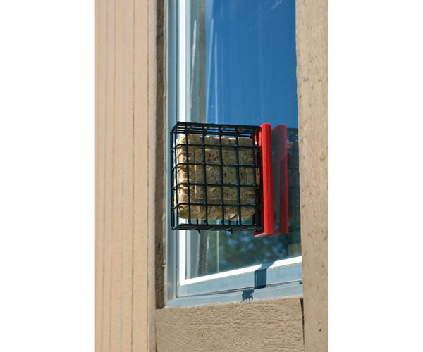 Red Suet Window Feeder