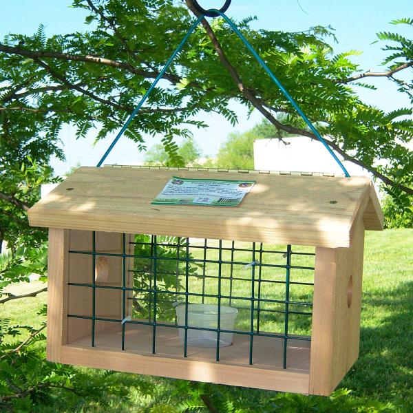 Protected Bluebird Cedar Jail Feeder