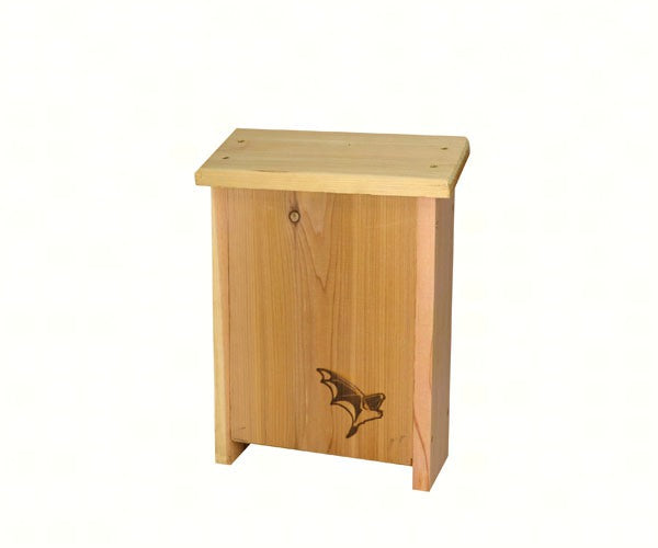Two Chamber Bat Flat