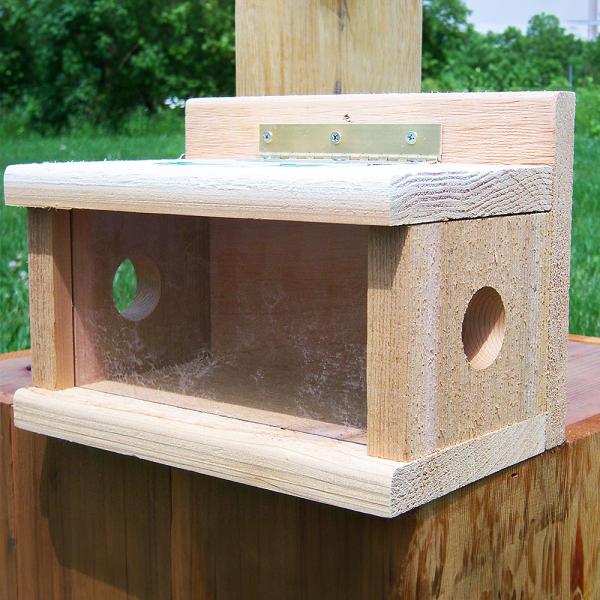 Post Mount Cedar Bluebird Feeder