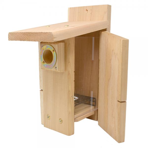 Ultimate BlueBird House