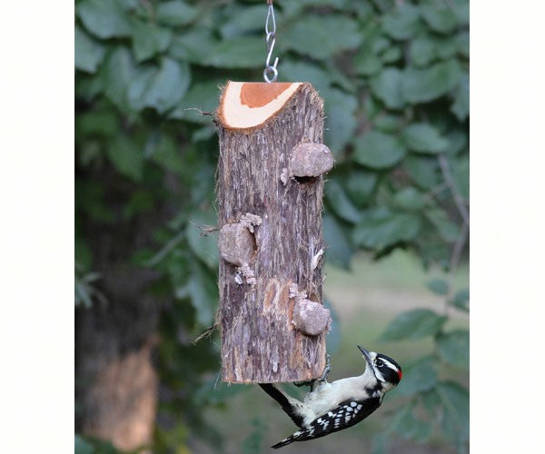 3 Plug Suet Log Feeder Without Perches