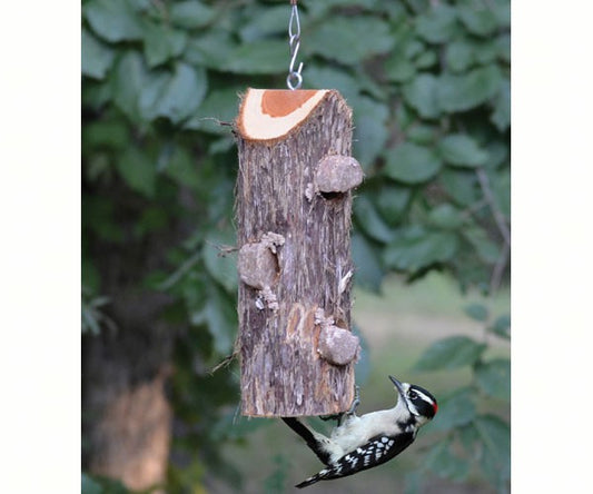 3 Plug Suet Log Feeder Without Perches