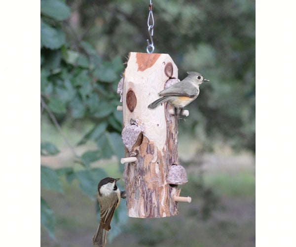 3 Plug Suet Log Feeder with Perches