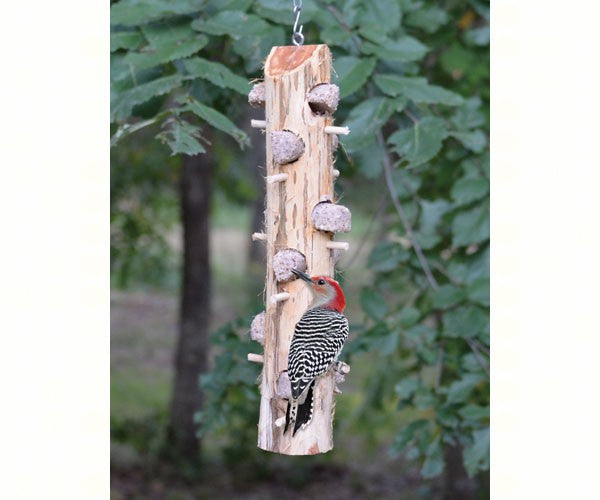 6 Plug Suet Log With Perches