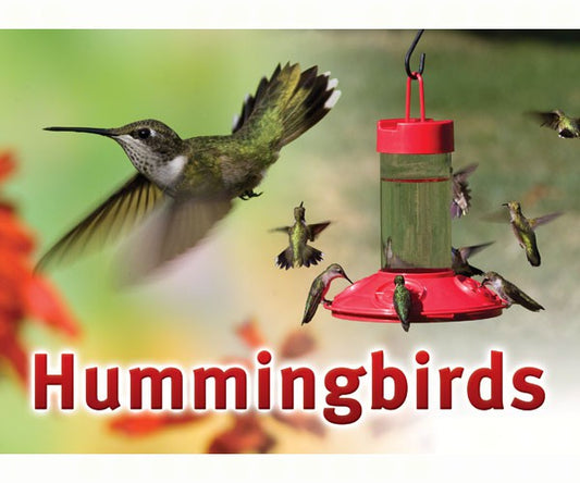 Hummingbird Sign