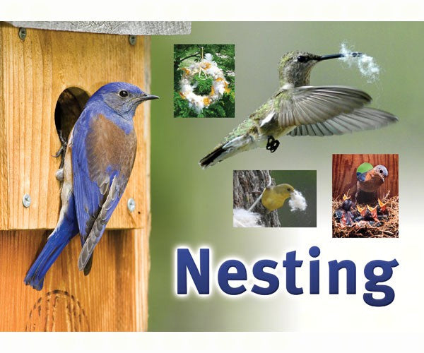 Nesting Sign