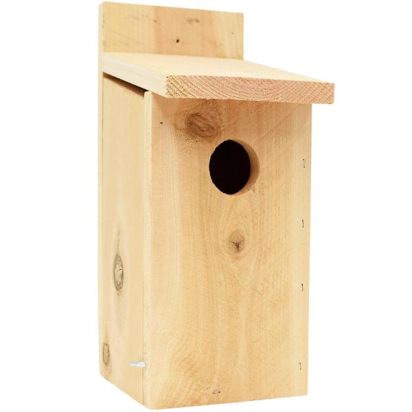Western Bluebird House