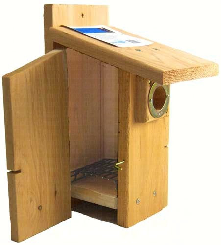 Western Bluebird Ultimate BlueBird House