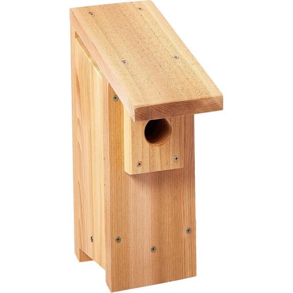 BlueBird House