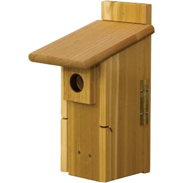 Ultimate BlueBird House withViewing Window