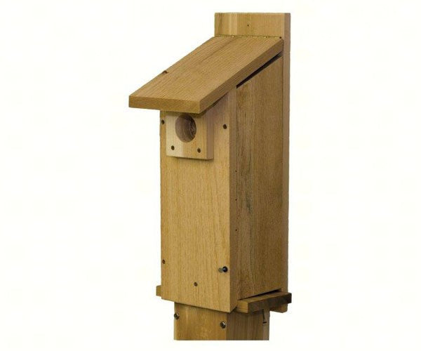 Woodpecker House