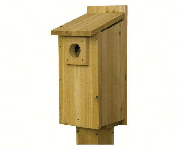 Flicker House