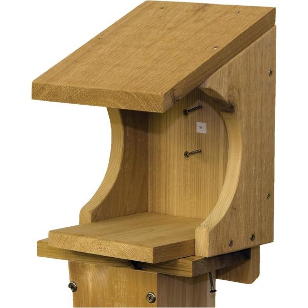 Robin's Nesting Shelf