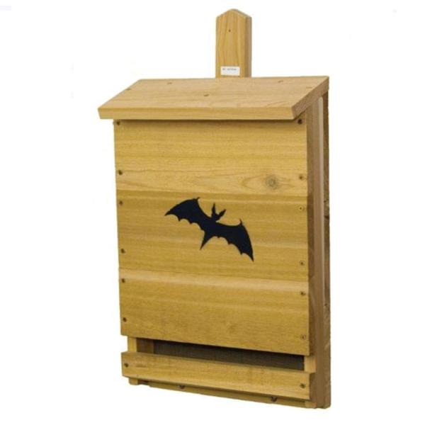 Single Cell Bat House