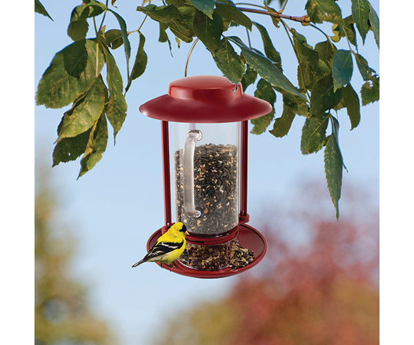 Combination Hopper/Seed Scoop Feeder