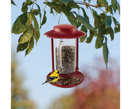 Combination Hopper/Seed Scoop Feeder