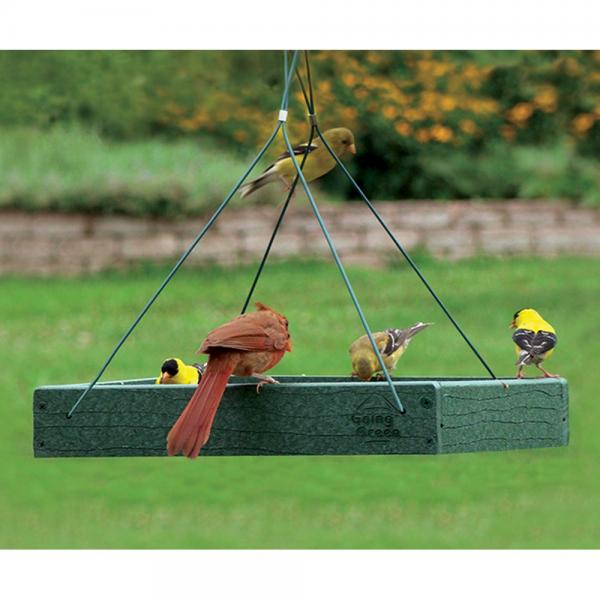 Going Green Platform Feeder