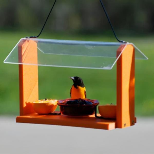 Oriole Feeder
